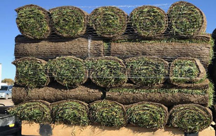 Sod Delivery Westminster