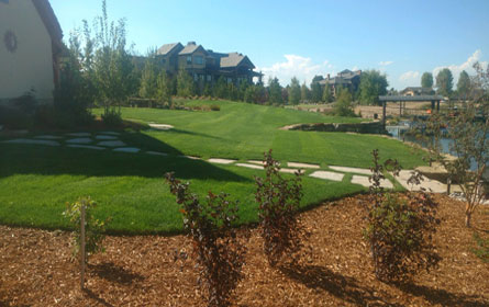 Landscaping Services 