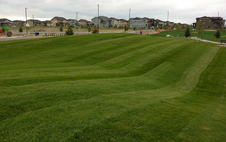 Residential Sod Installation 