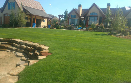 Residential Sod Installation Fort Collins